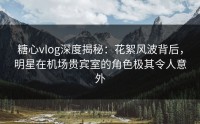 糖心vlog深度揭秘：花絮风波背后，明星在机场贵宾室的角色极其令人意外