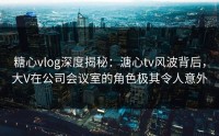糖心vlog深度揭秘：溏心tv风波背后，大V在公司会议室的角色极其令人意外