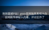 刚刚震撼P站！pixiv官网独家真相大白全网疯传神秘人内幕，评论区炸了