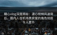 糖心vlog深度揭秘：溏心视频风波背后，圈内人在机场贵宾室的角色彻底令人意外