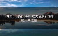 B站推广网站2024:助力品牌引爆年轻用户流量