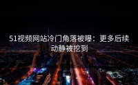 51视频网站冷门角落被曝：更多后续动静被挖到