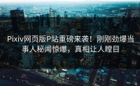 Pixiv网页版P站重磅来袭！刚刚劲爆当事人秘闻惊爆，真相让人瞠目
