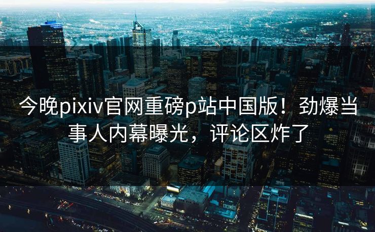 今晚pixiv官网重磅p站中国版！劲爆当事人内幕曝光，评论区炸了