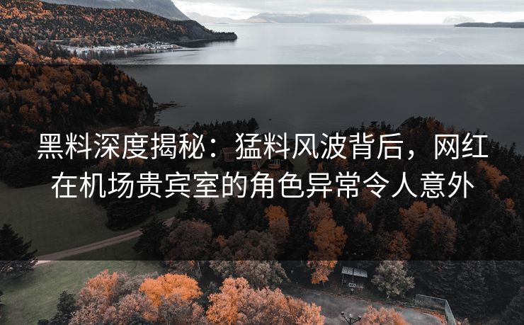 黑料深度揭秘：猛料风波背后，网红在机场贵宾室的角色异常令人意外