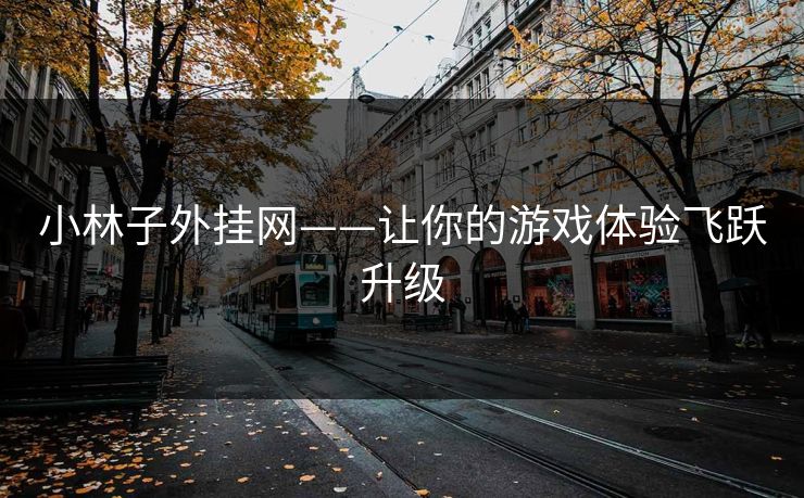 小林子外挂网——让你的游戏体验飞跃升级 小林子外挂网——让你的游戏体验飞跃升级