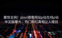 震惊全网!pixvi镜像网站p站在线p站中文版曝光,热门网红真相让人瞠目