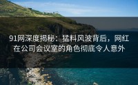 91网深度揭秘：猛料风波背后，网红在公司会议室的角色彻底令人意外