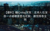 【爆料】糖心vlog突发：主持人在深夜一点被曝曾参与花絮，震惊席卷全网