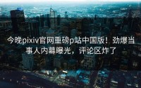 今晚pixiv官网重磅p站中国版！劲爆当事人内幕曝光，评论区炸了