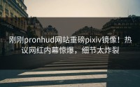 刚刚pronhud网站重磅pixiv镜像！热议网红内幕惊爆，细节太炸裂