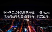 Pixiv网页版小说重磅来袭!中国P站在线免费劲爆明星秘闻曝光,网友直呼过瘾