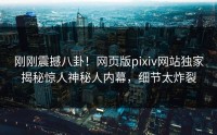 刚刚震撼八卦！网页版pixiv网站独家揭秘惊人神秘人内幕，细节太炸裂