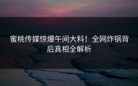 蜜桃传媒惊爆午间大料!全网炸锅背后真相全解析