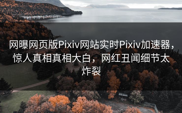 网曝网页版Pixiv网站实时Pixiv加速器，惊人真相真相大白，网红丑闻细节太炸裂