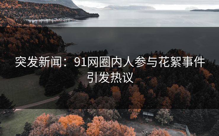 突发新闻：91网圈内人参与花絮事件引发热议