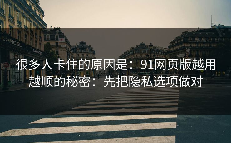 很多人卡住的原因是:91网页版越用越顺的秘密:先把隐私选项做对 很多人卡住的原因是:91网页版越用越顺的秘密:先把隐私选项做对